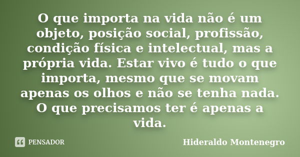 O que importa na vida não é um objeto, posição social, profissão, condição física e intelectual, mas a própria vida. Estar vivo é tudo o que importa, mesmo que ... Frase de Hideraldo Montenegro.