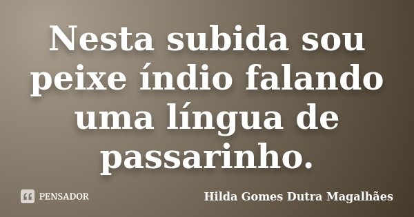 Nesta subida sou peixe índio falando uma língua de passarinho.... Frase de Hilda Gomes Dutra Magalhães.
