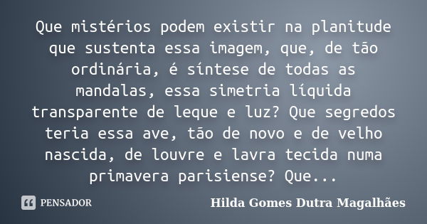 Que mistérios podem existir na planitude que sustenta essa imagem, que, de tão ordinária, é síntese de todas as mandalas, essa simetria líquida transparente de ... Frase de Hilda Gomes Dutra Magalhães.