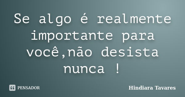 Se algo é realmente importante para você,não desista nunca !... Frase de Hindiara Tavares.