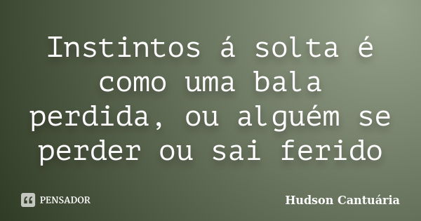 Instintos á solta é como uma bala perdida, ou alguém se perder ou sai ferido... Frase de Hudson Cantuária.