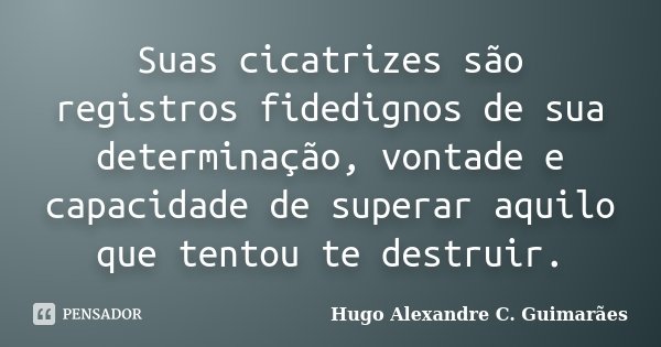Suas cicatrizes são registros fidedignos de sua determinação, vontade e capacidade de superar aquilo que tentou te destruir.... Frase de Hugo Alexandre C. Guimarães.