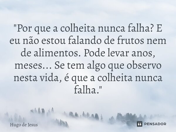 "Por que a colheita nunca falha? E eu não estou falando de frutos nem de alimentos. Pode levar anos, meses... Se tem algo que observo nesta vida, é que a c... Frase de Hugo De Jesus.