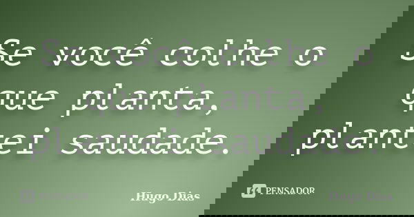 Se você colhe o que planta, plantei saudade.... Frase de Hugo Dias.
