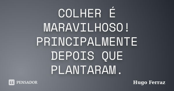 COLHER É MARAVILHOSO! PRINCIPALMENTE DEPOIS QUE PLANTARAM.... Frase de Hugo Ferraz.