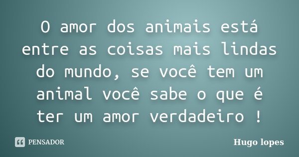 O amor dos animais está entre as coisas mais lindas do mundo, se você tem um animal você sabe o que é ter um amor verdadeiro !... Frase de Hugo Lopes.