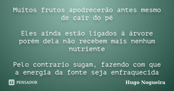 Muitos frutos apodrecerão antes mesmo de cair do pé Eles ainda estão ligados à árvore porém dela não recebem mais nenhum nutriente Pelo contrario sugam, fazendo... Frase de Hugo Nogueira.