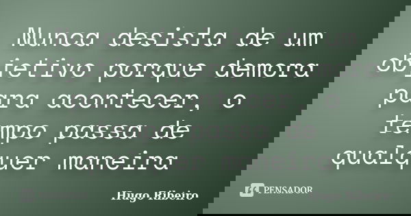 Nunca desista de um objetivo porque demora para acontecer, o tempo passa de qualquer maneira... Frase de Hugo Ribeiro.