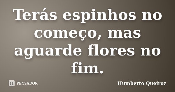 Terás espinhos no começo, mas aguarde flores no fim.... Frase de Humberto Queiroz.