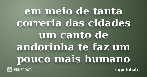 em meio de tanta correria das cidades um canto de andorinha te faz um pouco mais humano... Frase de iago lobato.