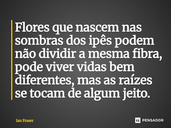 ⁠Flores que nascem nas sombras dos ipês podem não dividir a mesma fibra, pode viver vidas bem diferentes, mas as raízes se tocam de algum jeito.... Frase de Ian Fraser.