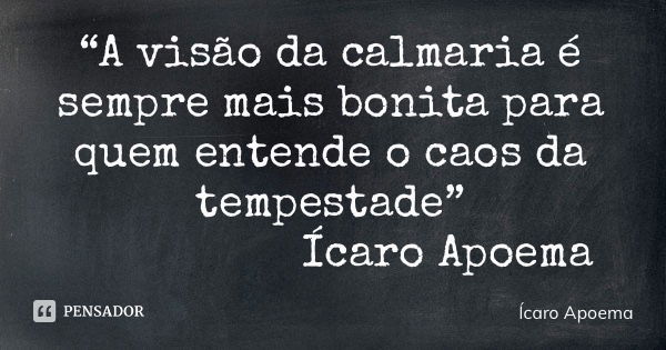 “A visão da calmaria é sempre mais bonita para quem entende o caos da tempestade” Ícaro Apoema... Frase de Ícaro Apoema.