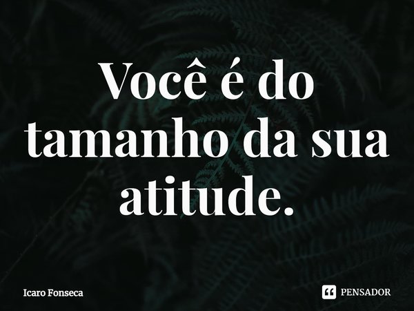 ⁠Você é do tamanho da sua atitude.... Frase de Icaro Fonseca.