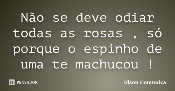 Não se deve odiar todas as rosas , só porque o espinho de uma te machucou !... Frase de Idson Comunica.