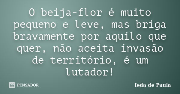 O beija-flor é muito pequeno e leve, mas briga bravamente por aquilo que quer, não aceita invasão de território, é um lutador!... Frase de Ieda de Paula.