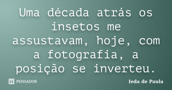 Uma década atrás os insetos me assustavam, hoje, com a fotografia, a posição se inverteu.... Frase de Ieda de Paula.