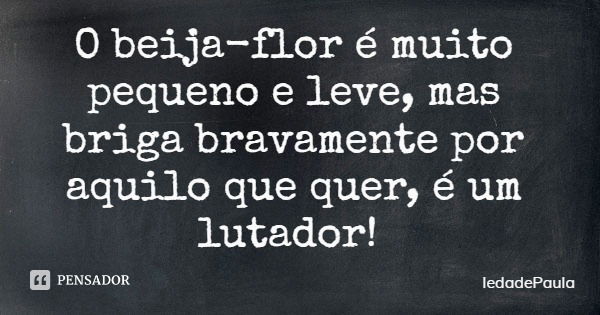 O beija-flor é muito pequeno e leve, mas briga bravamente por aquilo que quer, é um lutador!... Frase de IedadePaula.