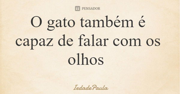 O gato também é capaz de falar com os olhos... Frase de IedadePaula.