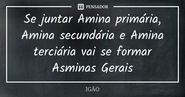 Se juntar Amina primária, Amina secundária e Amina terciária vai se formar Asminas Gerais... Frase de IGÃO.