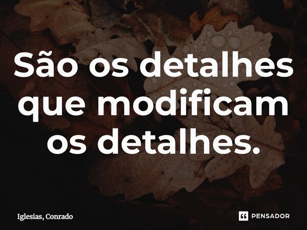 ⁠São os detalhes que modificam os detalhes.... Frase de Iglesias, Conrado.