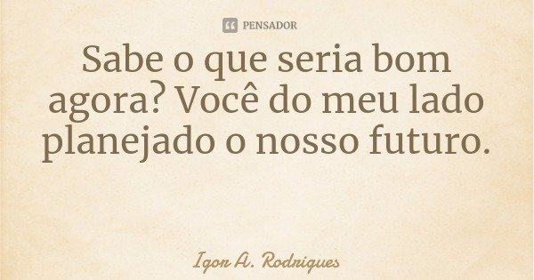 Sabe o que seria bom agora? Você do meu lado planejado o nosso futuro.... Frase de Igor A. Rodrigues.