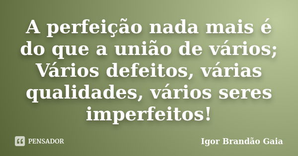 A perfeição nada mais é do que a união de vários; Vários defeitos, várias qualidades, vários seres imperfeitos!... Frase de Igor Brandão Gaia.