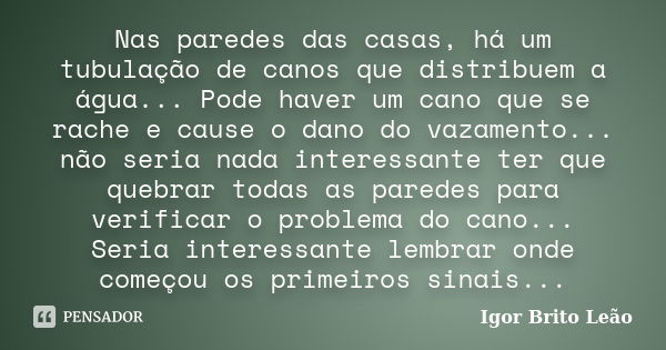 Nas paredes das casas, há um tubulação de canos que distribuem a água... Pode haver um cano que se rache e cause o dano do vazamento... não seria nada interessa... Frase de Igor Brito Leão.