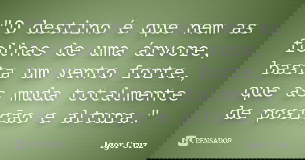 "O destino é que nem as folhas de uma árvore, basta um vento forte, que as muda totalmente de posição e altura."... Frase de Igor Cruz.