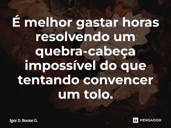 ⁠É melhor gastar horas resolvendo um quebra-cabeça impossível do que tentando convencer um tolo.... Frase de Igor D. Boone G..