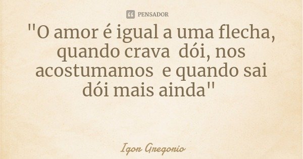 "O amor é igual a uma flecha, quando crava dói, nos acostumamos e quando sai dói mais ainda"... Frase de Igor Gregorio.
