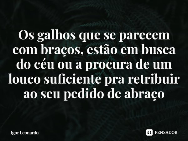 ⁠Os galhos que se parecem com braços, estão em busca do céu ou a procura de um louco suficiente pra retribuir ao seu pedido de abraço... Frase de Igor Leonardo.