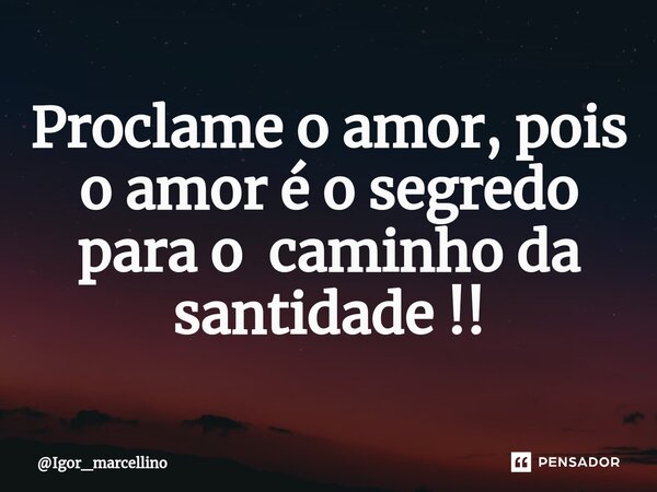 ⁠Proclame o amor, pois o amor é o segredo para o caminho da santidade !!... Frase de Igor_marcellino.