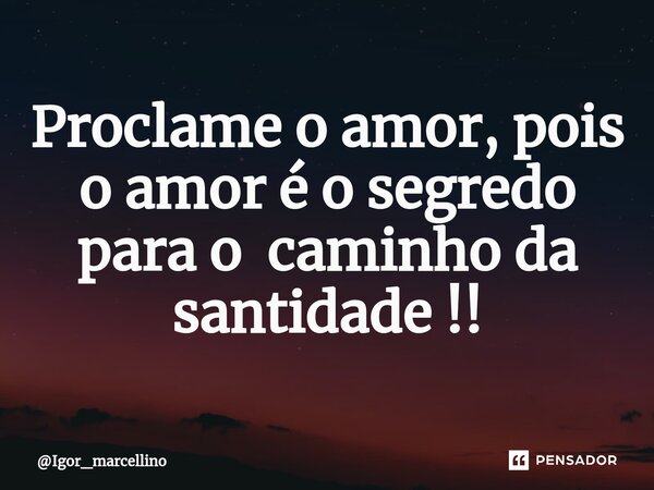 ⁠Proclame o amor, pois o amor é o segredo para o caminho da santidade !!... Frase de Igor_marcellino.