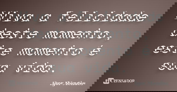 Viva a felicidade deste momento, este momento é sua vida.... Frase de Igor Mendes.