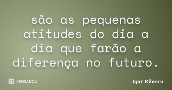são as pequenas atitudes do dia a dia que farão a diferença no futuro.... Frase de Igor Ribeiro.
