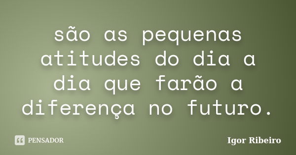 são as pequenas atitudes do dia a dia que farão a diferença no futuro.... Frase de Igor Ribeiro.