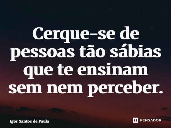 ⁠Cerque-se de pessoas tão sábias que te ensinam sem nem perceber.... Frase de Igor Santos de Paula.