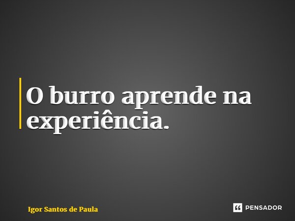 ⁠O burro aprende na experiência.... Frase de Igor Santos de Paula.
