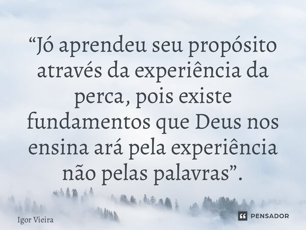 “⁠Jó aprendeu seu propósito através da experiência da perca, pois existe fundamentos que Deus nos ensina ará pela experiência não pelas palavras”.... Frase de Igor Vieira.