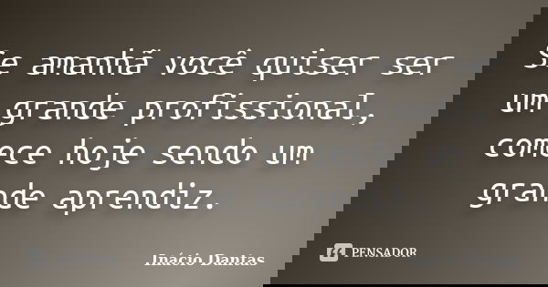 Se amanhã você quiser ser um grande profissional, comece hoje sendo um grande aprendiz.... Frase de Inácio Dantas.