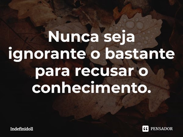 ⁠Nunca seja ignorante o bastante para recusar o conhecimento.... Frase de Indefinidoll.