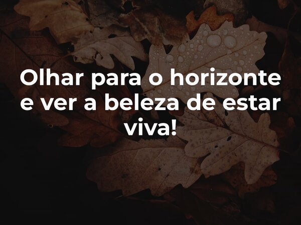Olhar para o horizonte e ver a beleza de estar viva!⁠... Frase de Inês Cardoso.