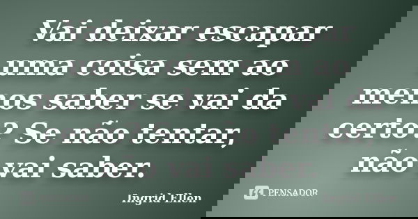 Vai deixar escapar uma coisa sem ao menos saber se vai da certo? Se não tentar, não vai saber.... Frase de Ingrid Ellen.