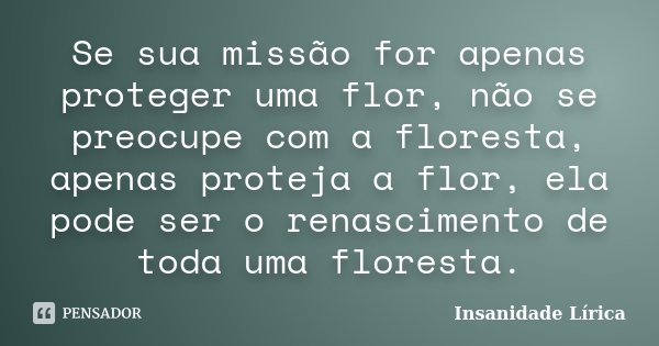 Se sua missão for apenas proteger uma flor, não se preocupe com a floresta, apenas proteja a flor, ela pode ser o renascimento de toda uma floresta.... Frase de Insanidade Lírica.