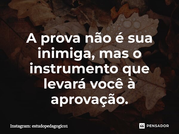 ⁠A prova não é sua inimiga, mas o instrumento que levará você à aprovação.... Frase de Instagram: estudopedagogico1.