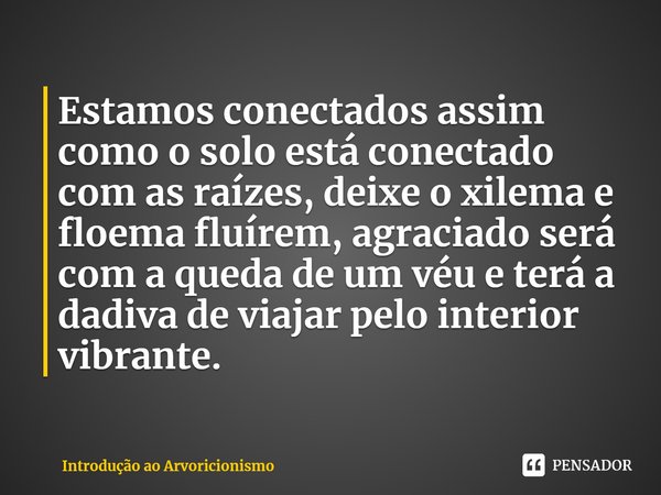 ⁠Estamos conectados assim como o solo está conectado com as raízes, deixe o xilema e floema fluírem, agraciado será com a queda de um véu e terá a dadiva de via... Frase de Introdução ao Arvoricionismo.