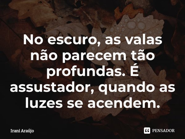 ⁠No escuro, as valas não parecem tão profundas. É assustador, quando as luzes se acendem.... Frase de Irani Araújo.