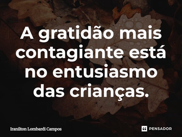 A gratidão mais contagiante está no entusiasmo das crianças.... Frase de Iranilton Lombardi Campos.