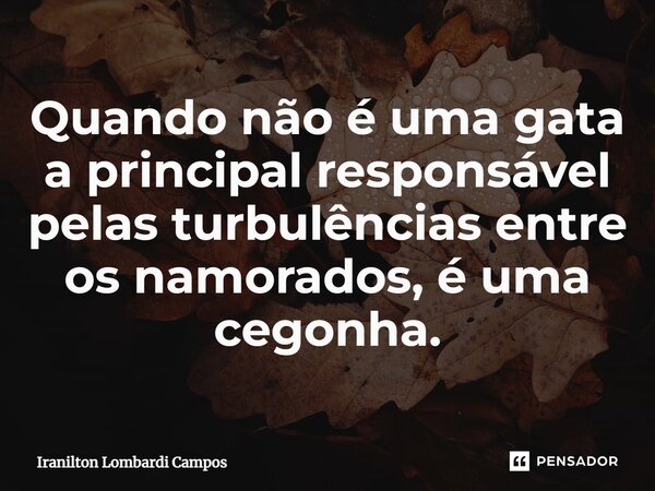 ⁠Quando não é uma gata a principal responsável pelas turbulências entre os namorados, é uma cegonha.... Frase de Iranilton Lombardi Campos.