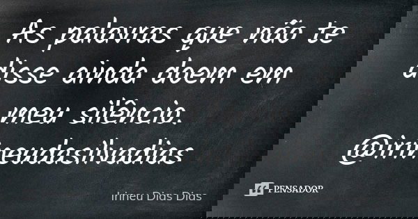 As palavras que não te disse ainda doem em meu silêncio. @irineudasilvadias... Frase de Irineu Dias Dias.